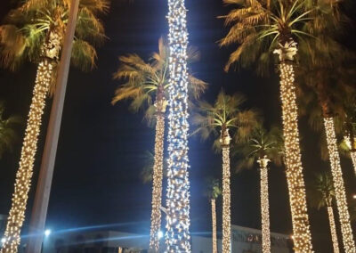 Damac Hills String Lights